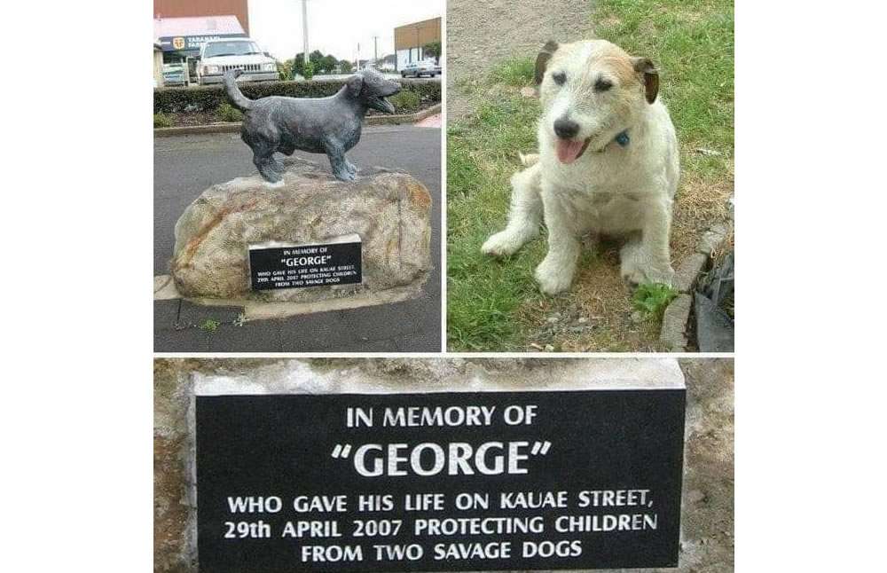 Levantan estatua a perrito que dio su vida por salvar a cinco niños de pitbulls