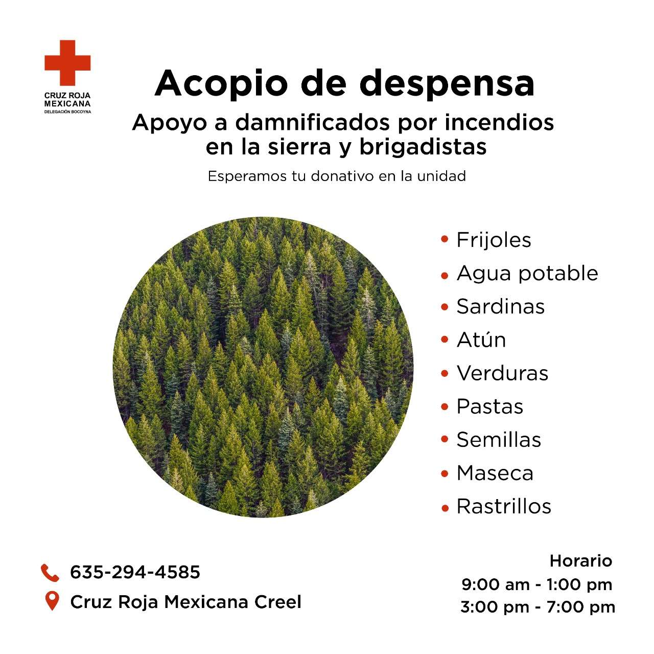 Pide cruz roja de creel apoyo para damnificados por incendios