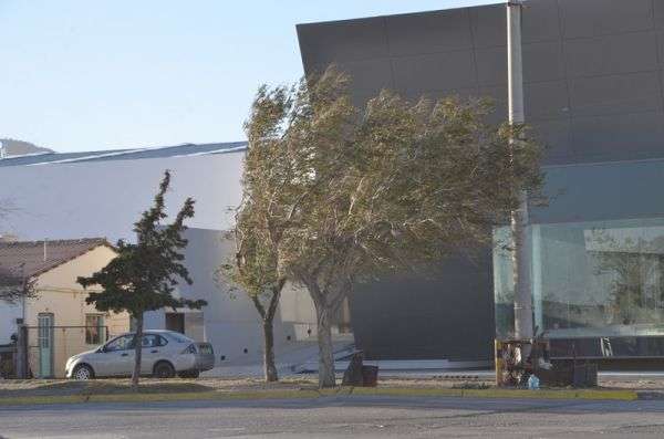 Pronostica protección civil fuertes rachas de viento en juárez y balleza