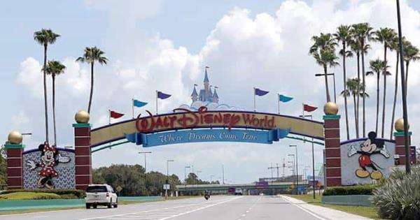 Retiran 250 caimanes de propiedades de disney en florida