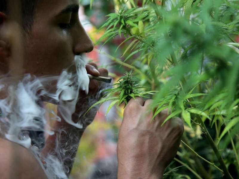 ¿Qué significa y en qué consiste el uso lúdico de la marihuana?