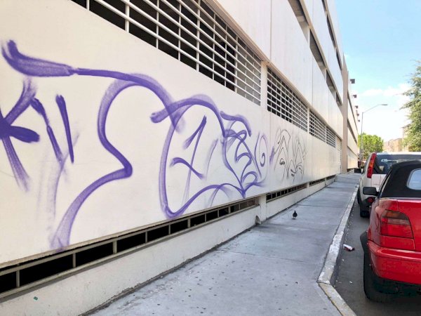 Denuncian inmuebles grafiteados en el centro histórico | La Opción de ...