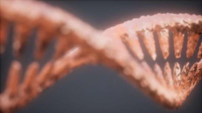 Será sorprendente porcentaje de adn exclusivamente humano