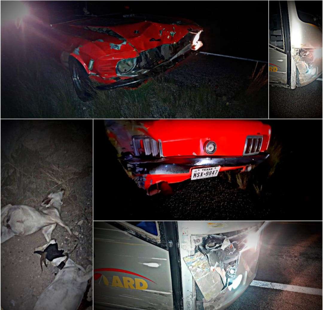 Impacta contra chivas y lo estrella un autobús en la rúa a ojinaga