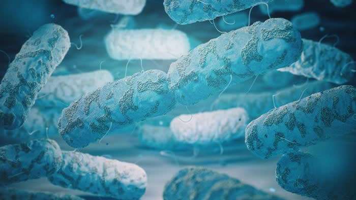 Revela estudio que bacterias acumulan medicamentos que ingerimos