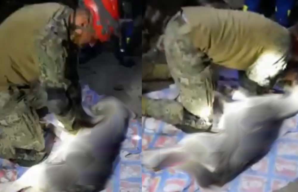 Soldado llora por no poder revivir a perrito
