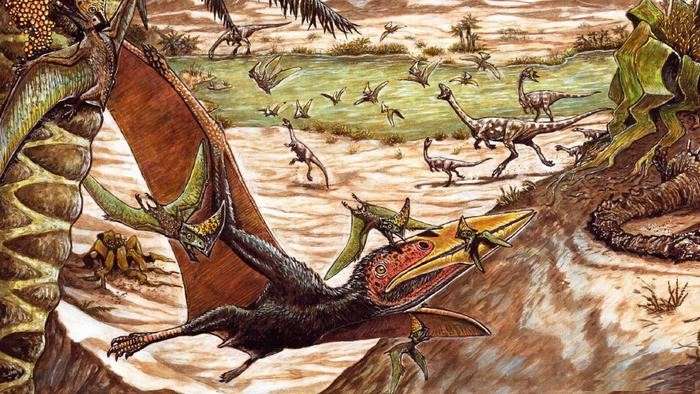 Hallan en el desierto de chile restos fósiles de dragón volador prehistórico