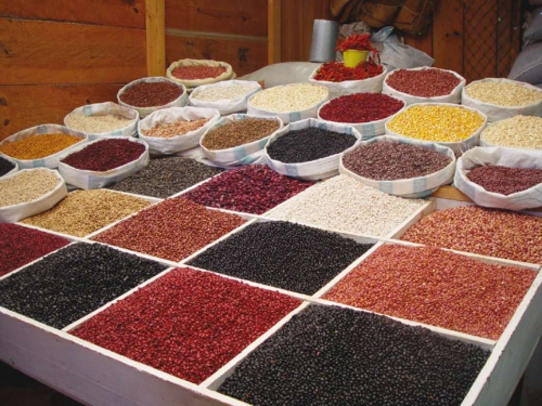 Sequías podrían provocar encarecimientos de maíz y frijol