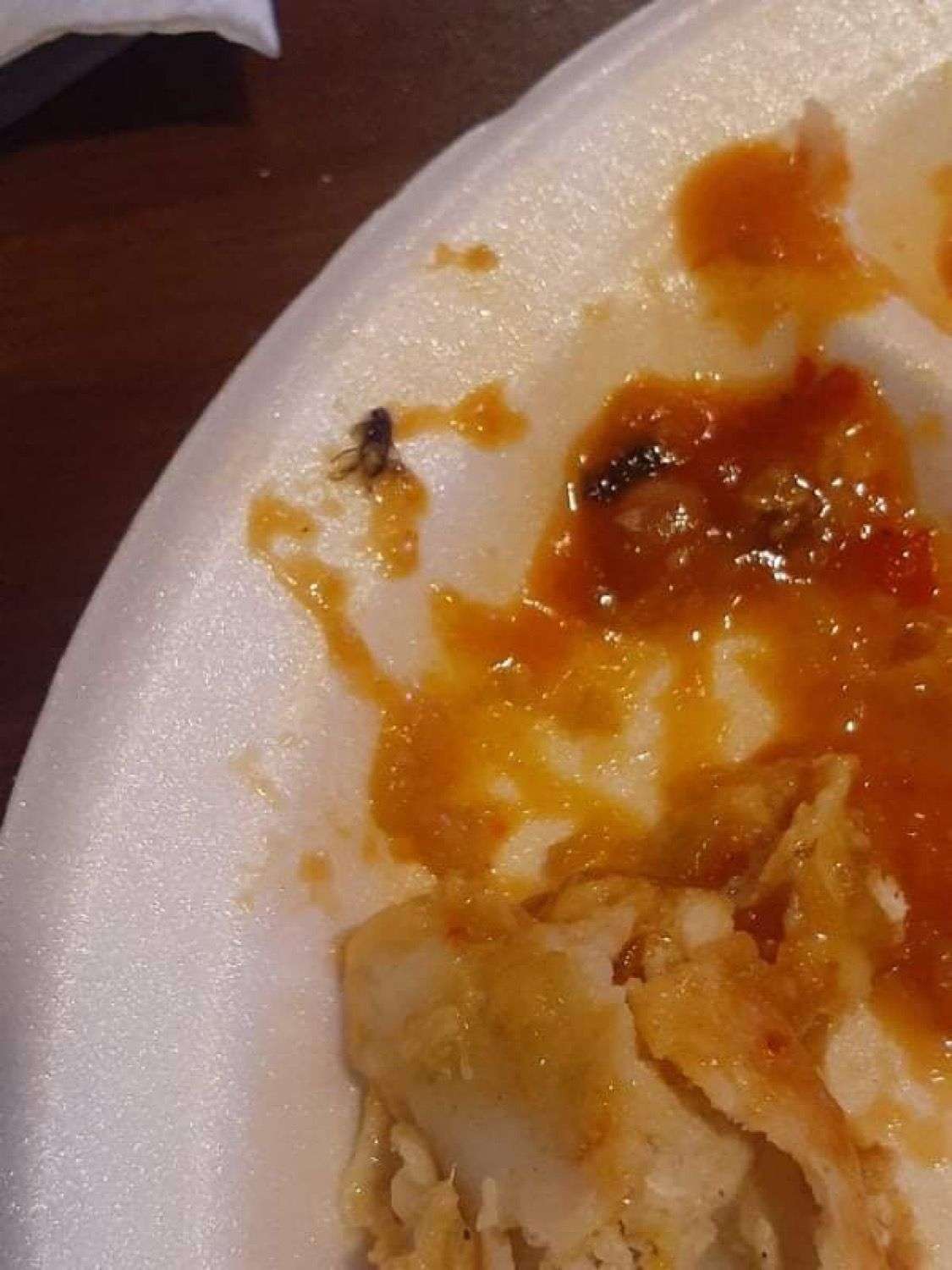 Denuncian comedor de maquiladora que sirve comida con moscas