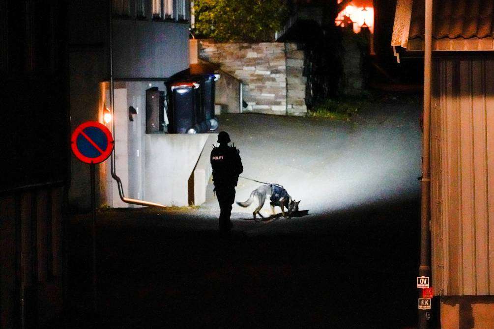 Causa varios muertos arquero armado en noruega