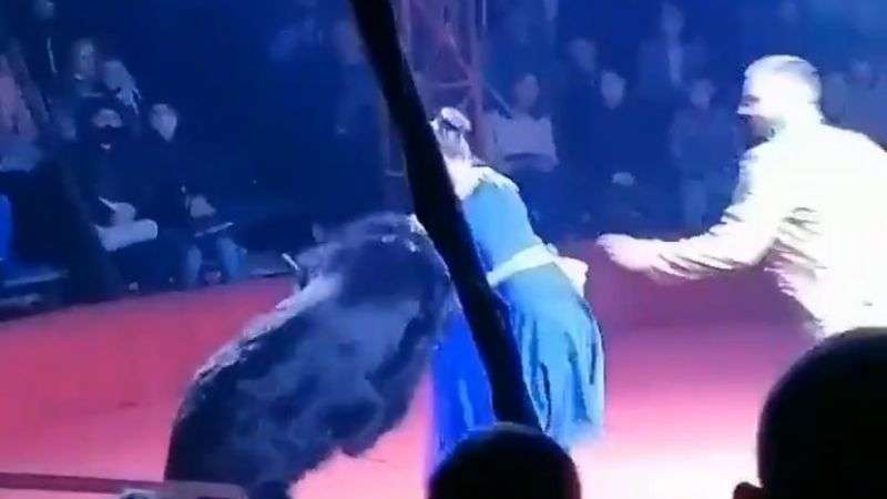 Ataca oso a mujer embarazada en un circo de rusia