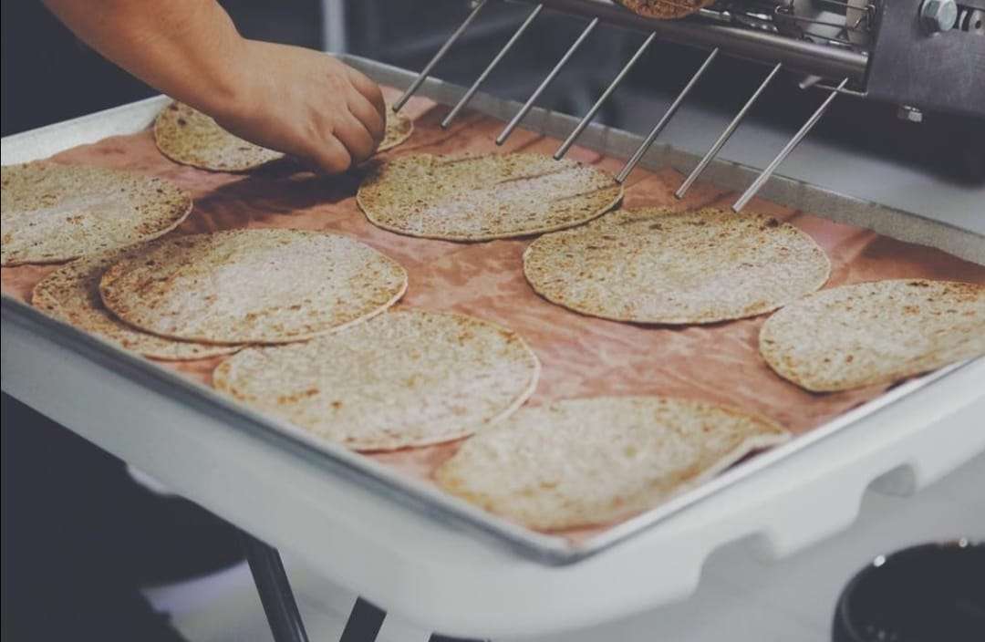 Miss tortilla, de chihuahua para deleite de los chilangos La Opción