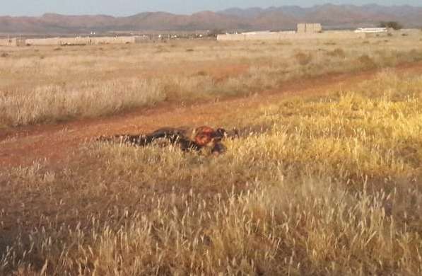 Hallan cadáver calcinado rumbo a majalca