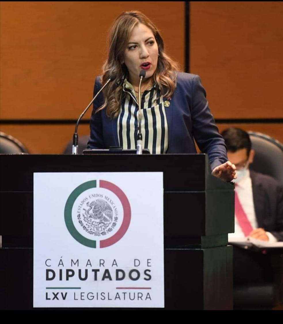 Lamentables las declaraciones de loera: diputada laura contreras