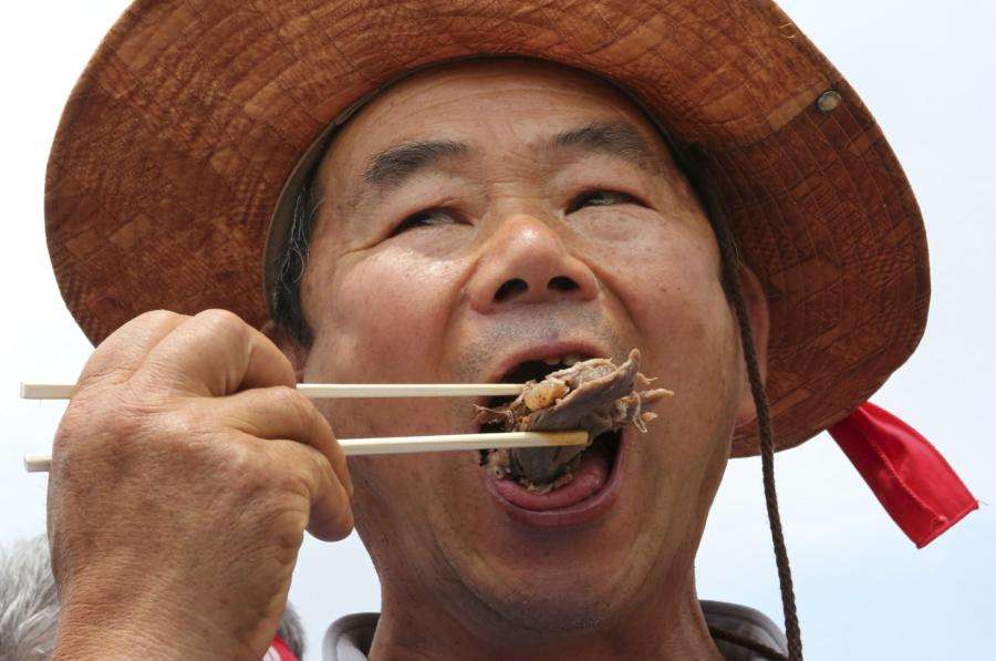 Analizará corea del sur si prohíbe consumo de carne de perro