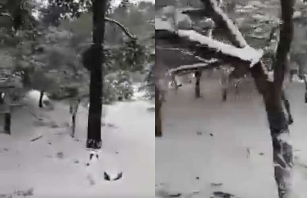 Ahora cae fuerte nevada en casas grandes