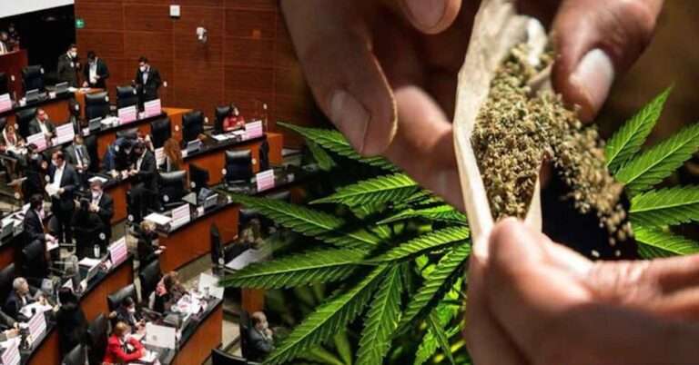 Cuenta méxico con potencial en cannabis medicinal y farmacéutico