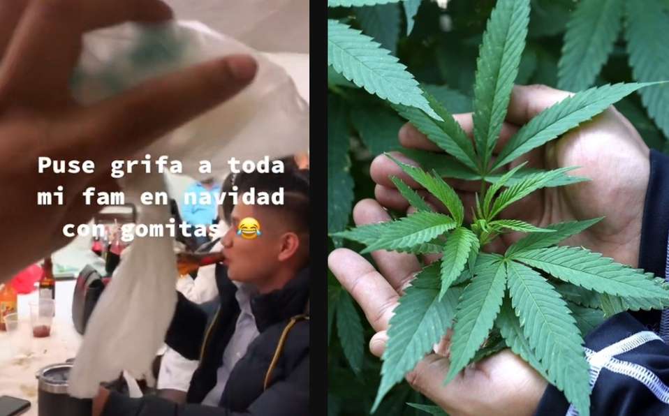 Se viraliza por dar gomitas de marihuana a su familia en navidad