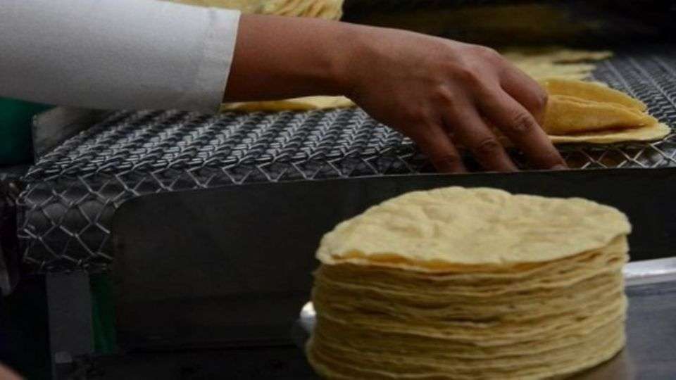 Se quedan sin tortillas de maíz y maseca en ucrania