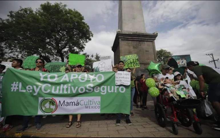 Retoman discusión para regular la marihuana