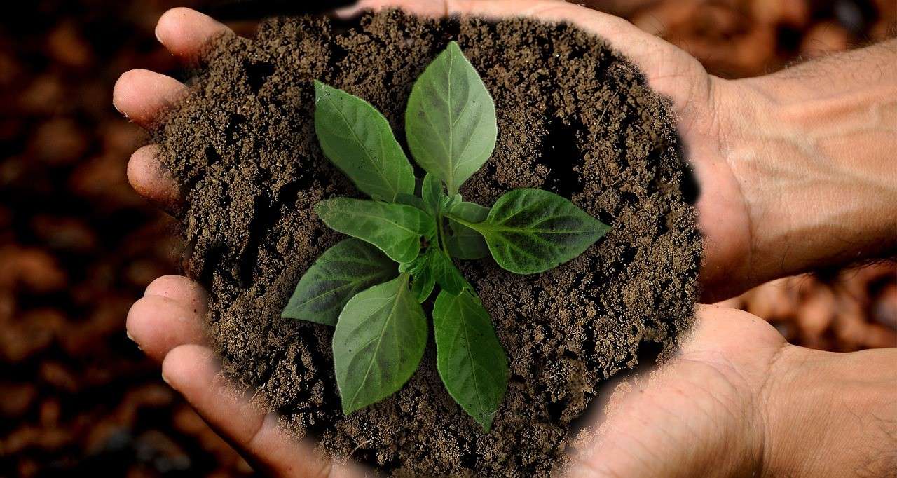 Conoce los 5 hábitos para cuidar tu huella ecológica