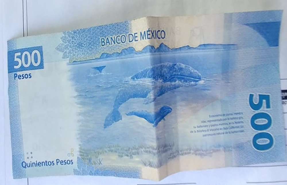 Pagan con billete falso de quinientos pesos