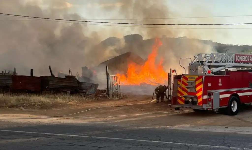 Arrasa incendio con palillera en la vía corta
