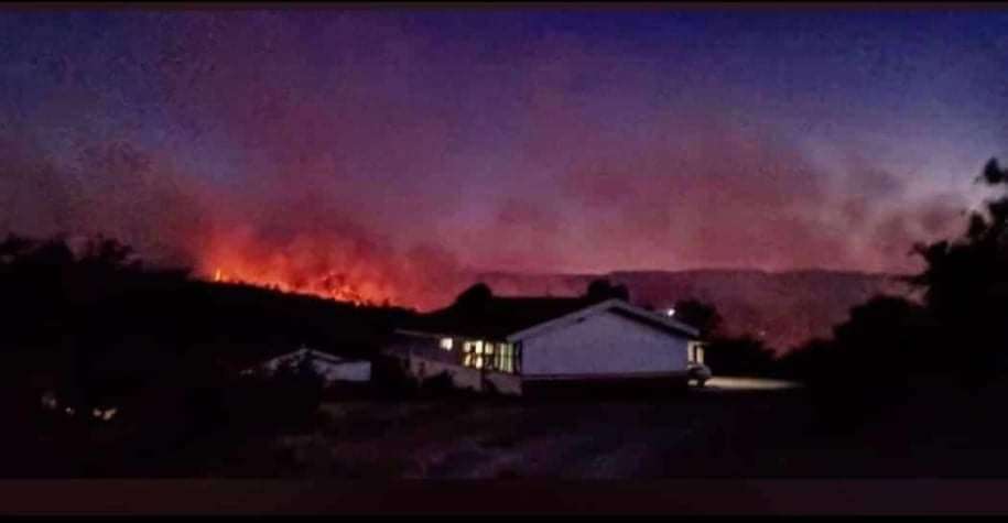 Combaten 15 Incendios Forestales Activos En Chihuahua La Opción De