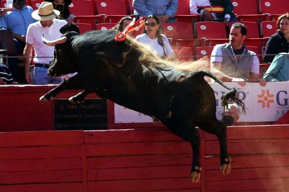 Casi emula toro en la plaza méxico al pajarito hace 16 años
