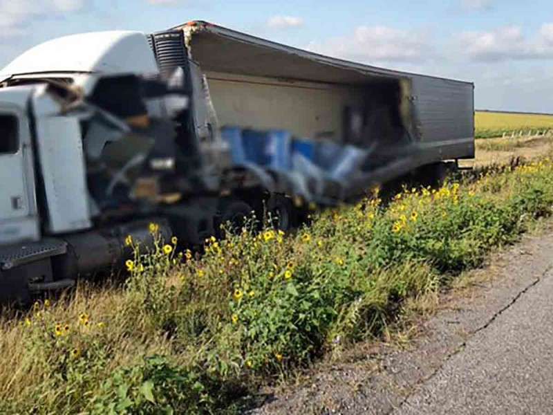 Hallan toneladas de perros y gatos muertos en tráiler accidentado