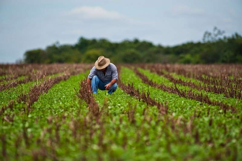 Actualiza agricultura reglas para gestión de normas oficiales mexicanas