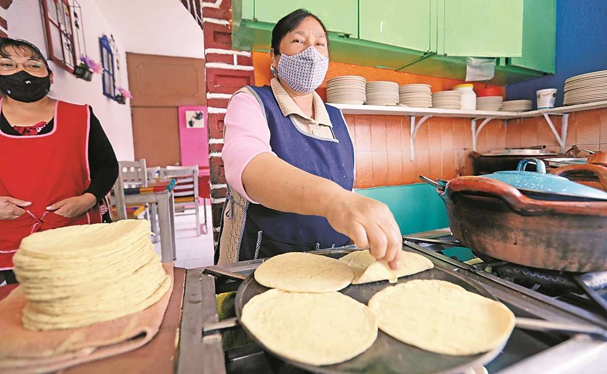 Llega a los 30 pesos precio del kilo de tortilla en toluca 
