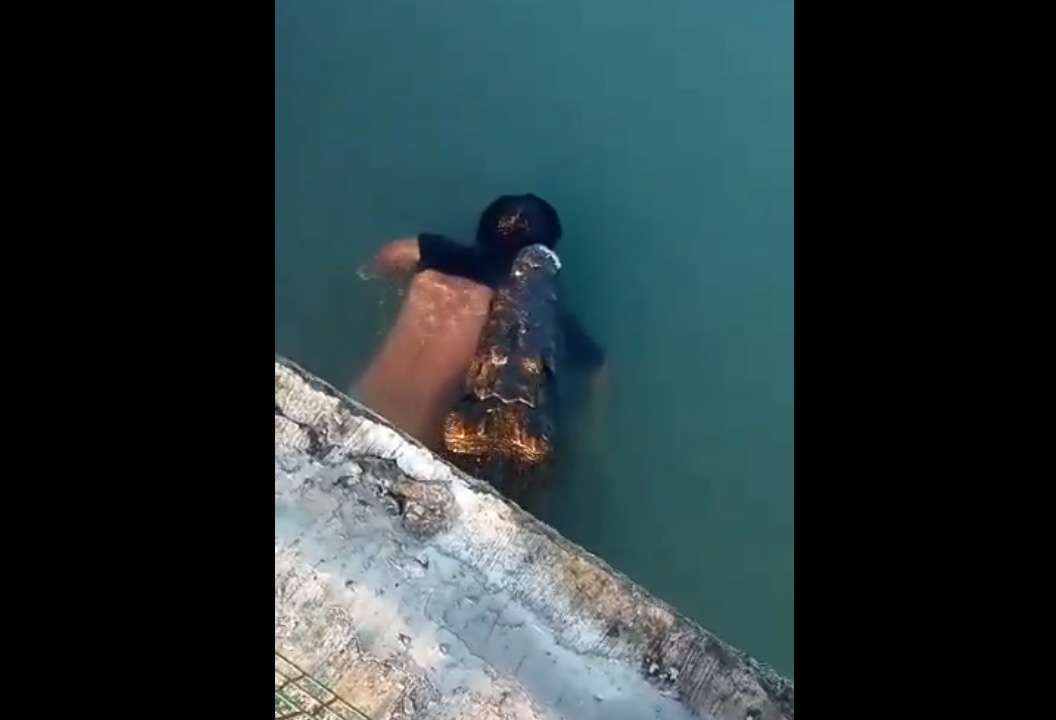 Cocodrilo mata a un hombre en tampico y le devora un brazo