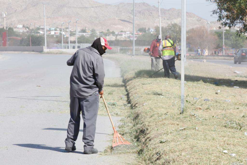 Trabajan en preparación de suelo para forestación de camellones