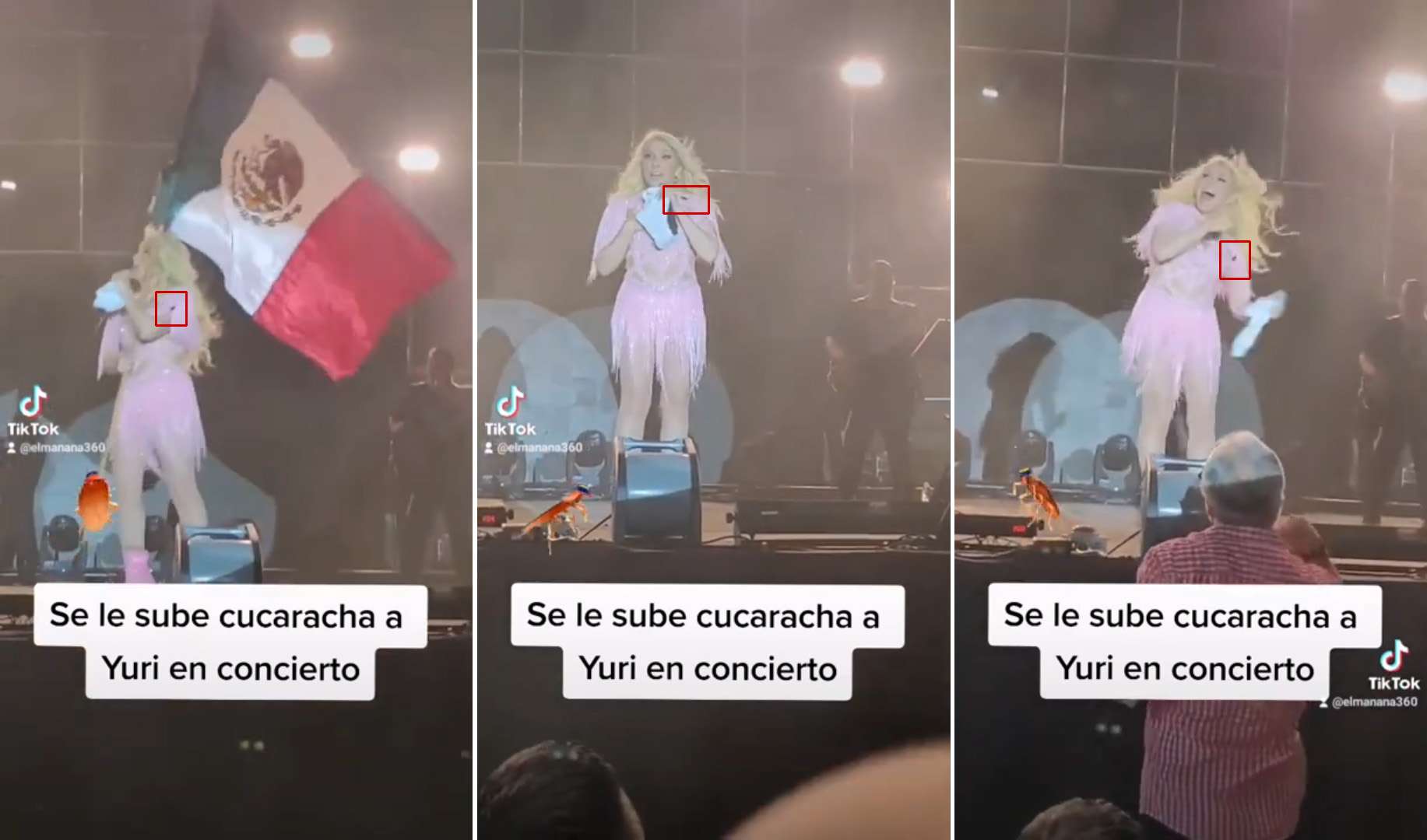 VIDEO: grita, brinca y patalea Yuri cuando ve cucaracha en su hombro