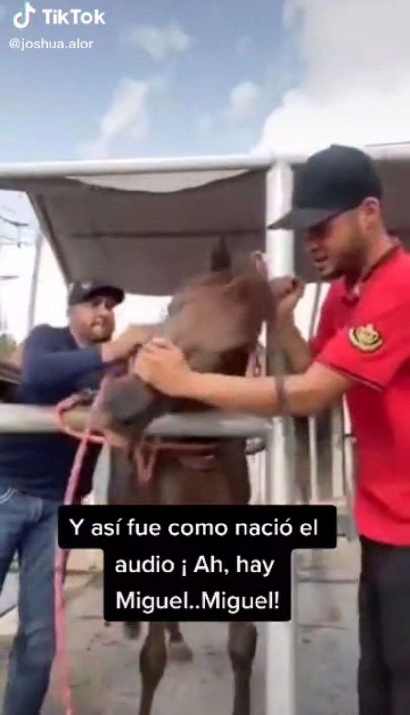 Así surgió el audio viral que la rompió en TikTok
