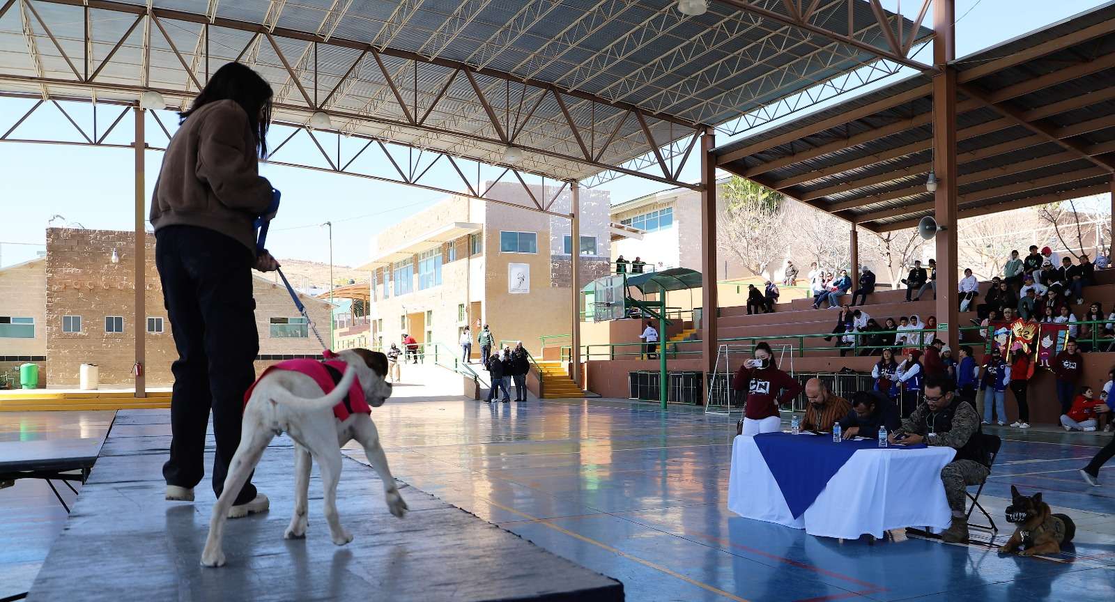 Visita grupo canino K9 de la Policía a ESFER Salesianos | La Opción de ...