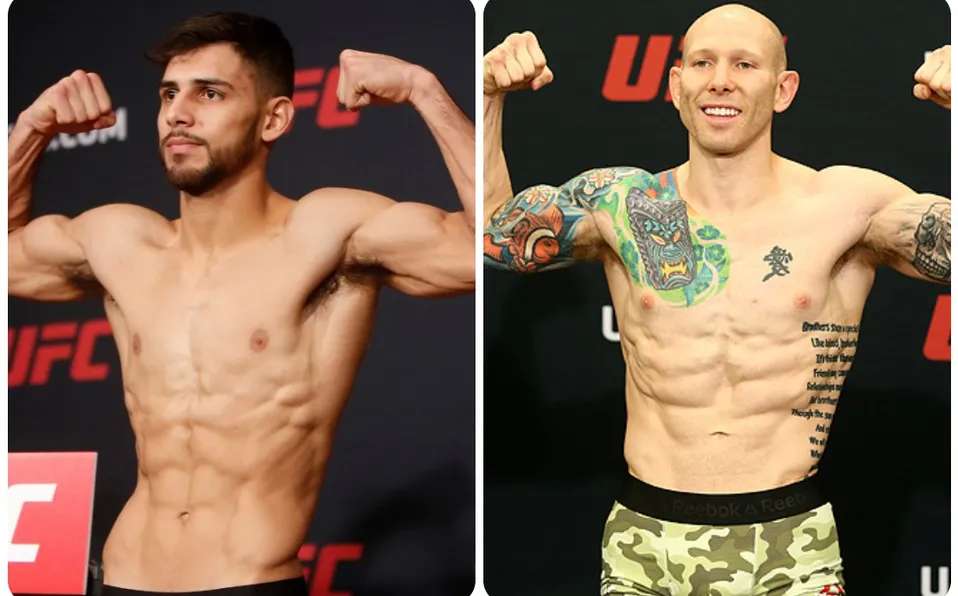 Peleará Yair Rodríguez por el título de peso pluma ante Josh Emmett