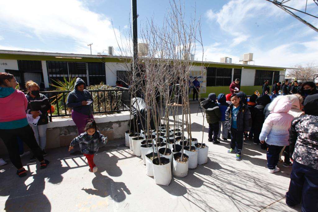 Dona Parques y Jardines 40 árboles a escuelas primarias