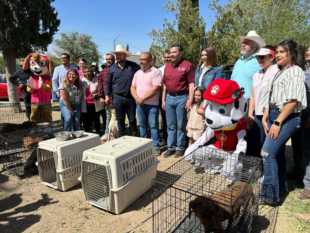 Se realiza con éxito feria de adopción de mascotas 