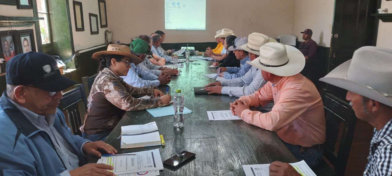 Combatirán  plaga de chapulín en Casas Grandes