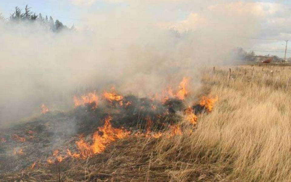 Regularán quemas controladas de parcelas para evitar incendios