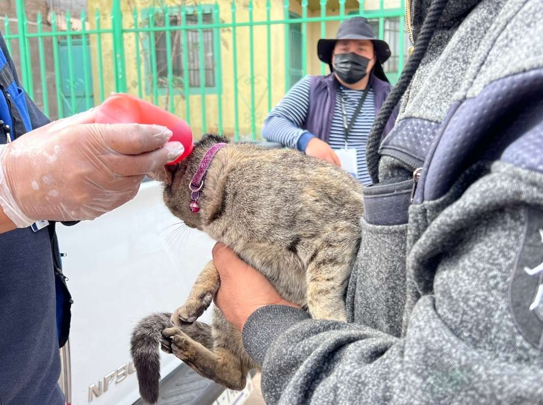 Visitará El Patio de Mi Casa estas colonias durante el mes de mayo La