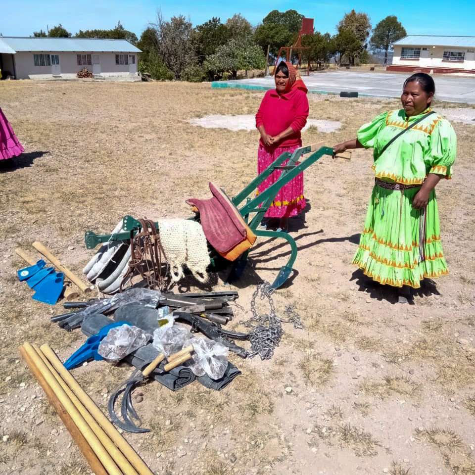 Beneficia Spyci A 340 Familias Indígenas De Guachochi Con Herramientas Para Producción Agrícola