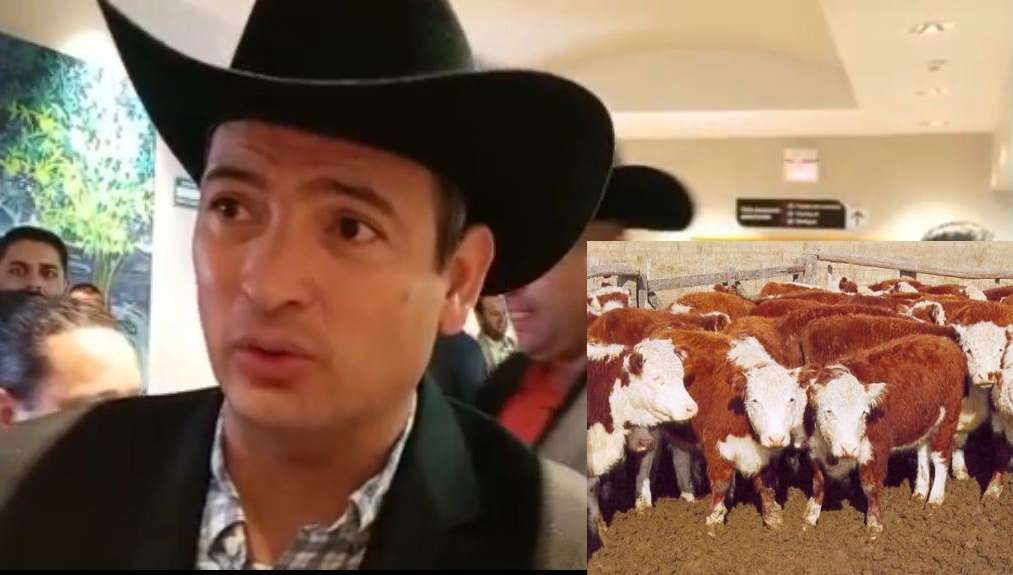 Apoyo a ganaderos para mejorar la