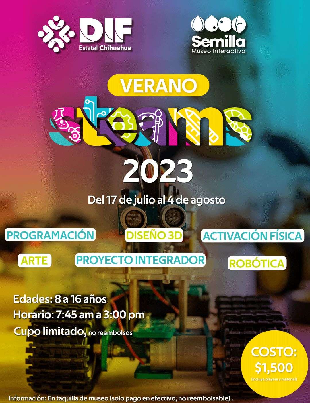 Invitan a participar en los cursos infantiles de verano en Museo ...