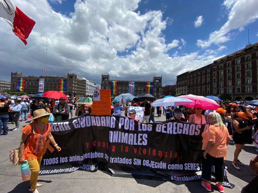 Marchan contra el maltrato animal parte en Cdmx | La Opción de Chihuahua