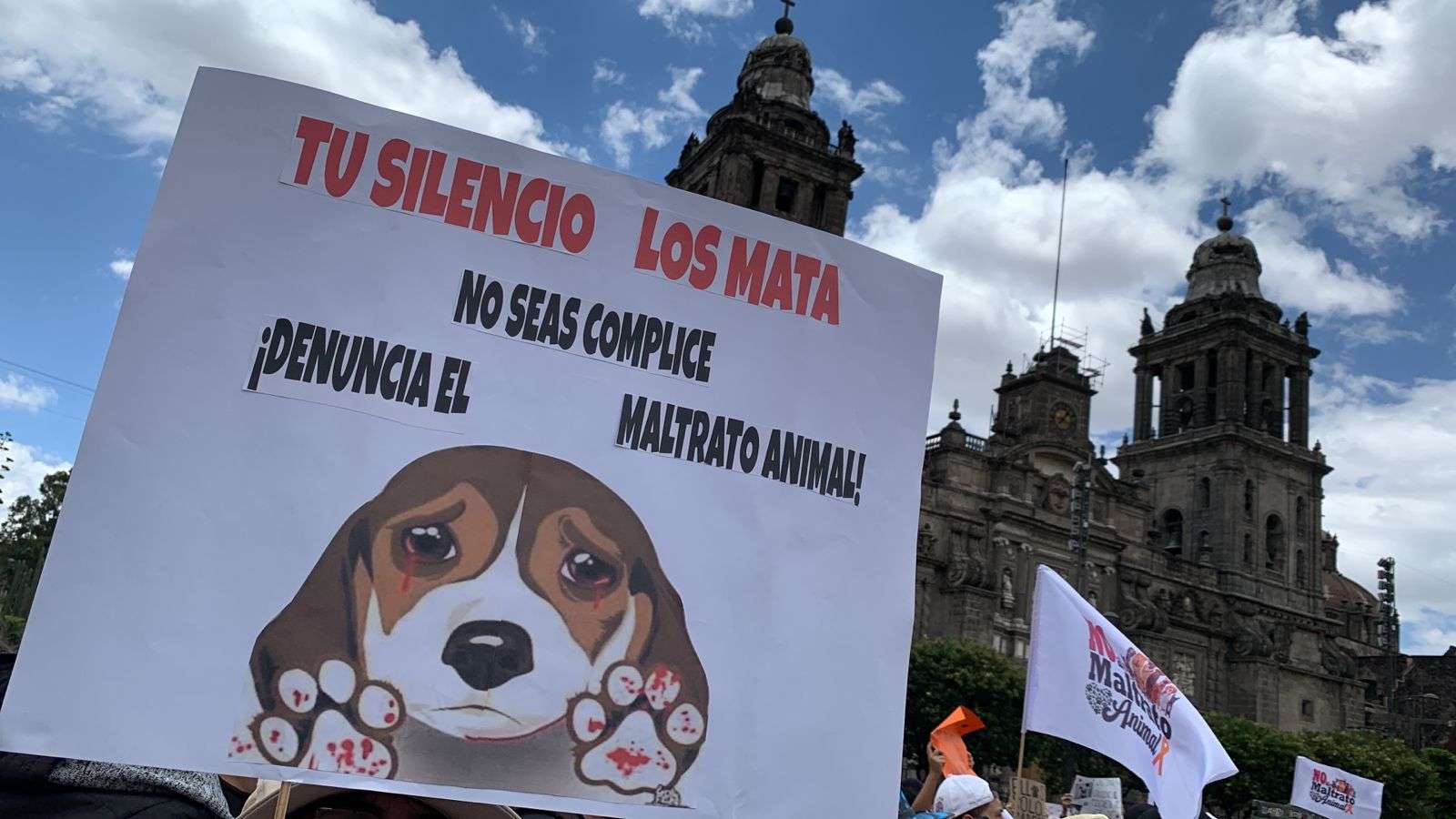 Marchan contra el maltrato animal parte en Cdmx | La Opción de Chihuahua