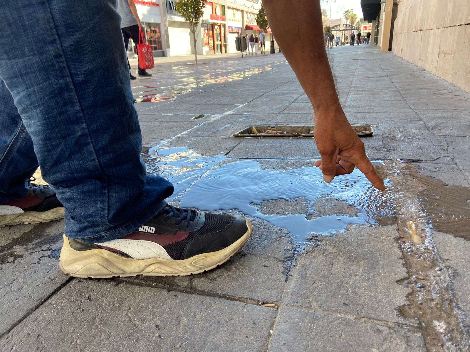 Denuncian fuga de agua en la calle Libertad | La Opción de Chihuahua