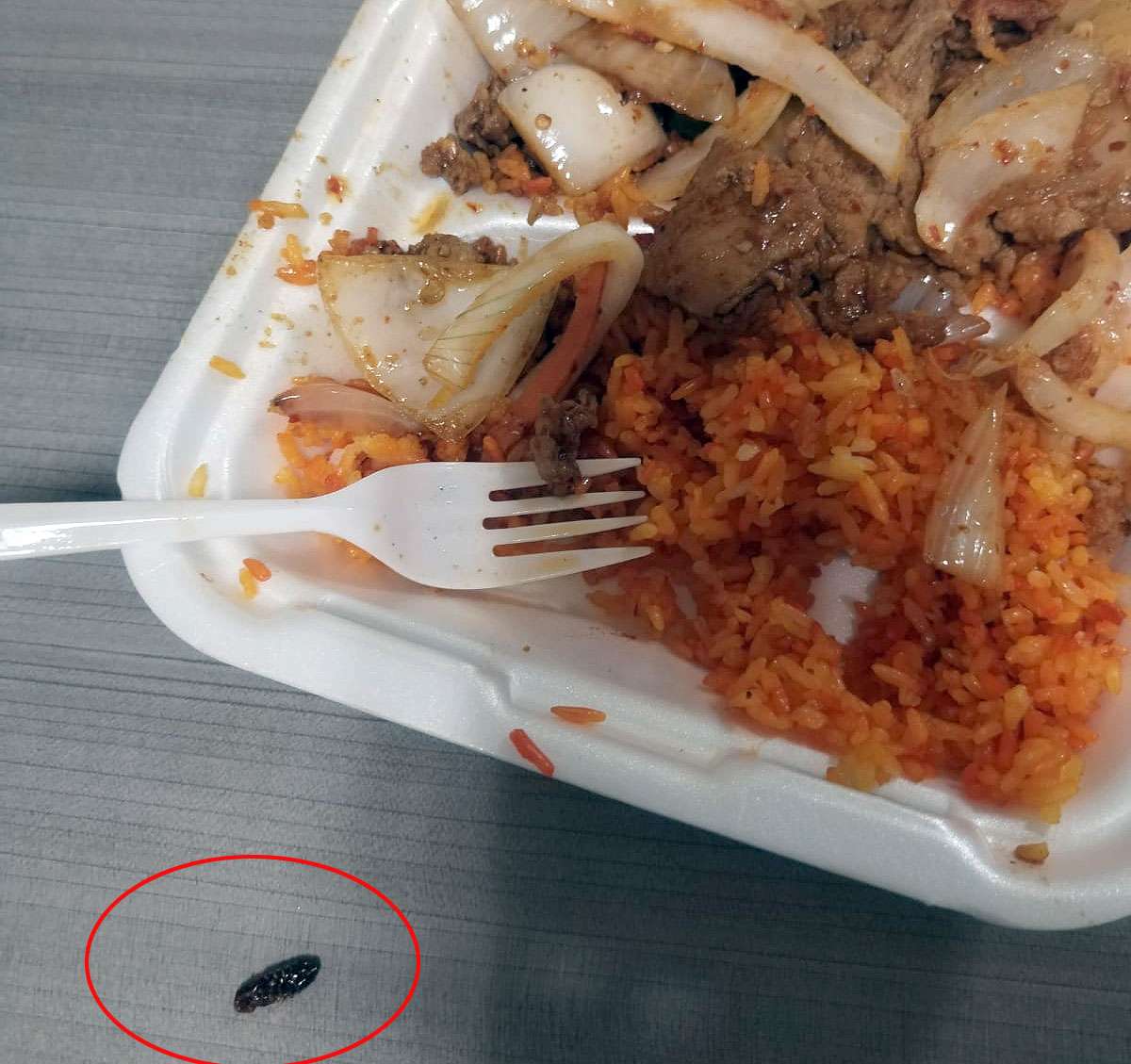 Comida China traía premio; una cucaracha